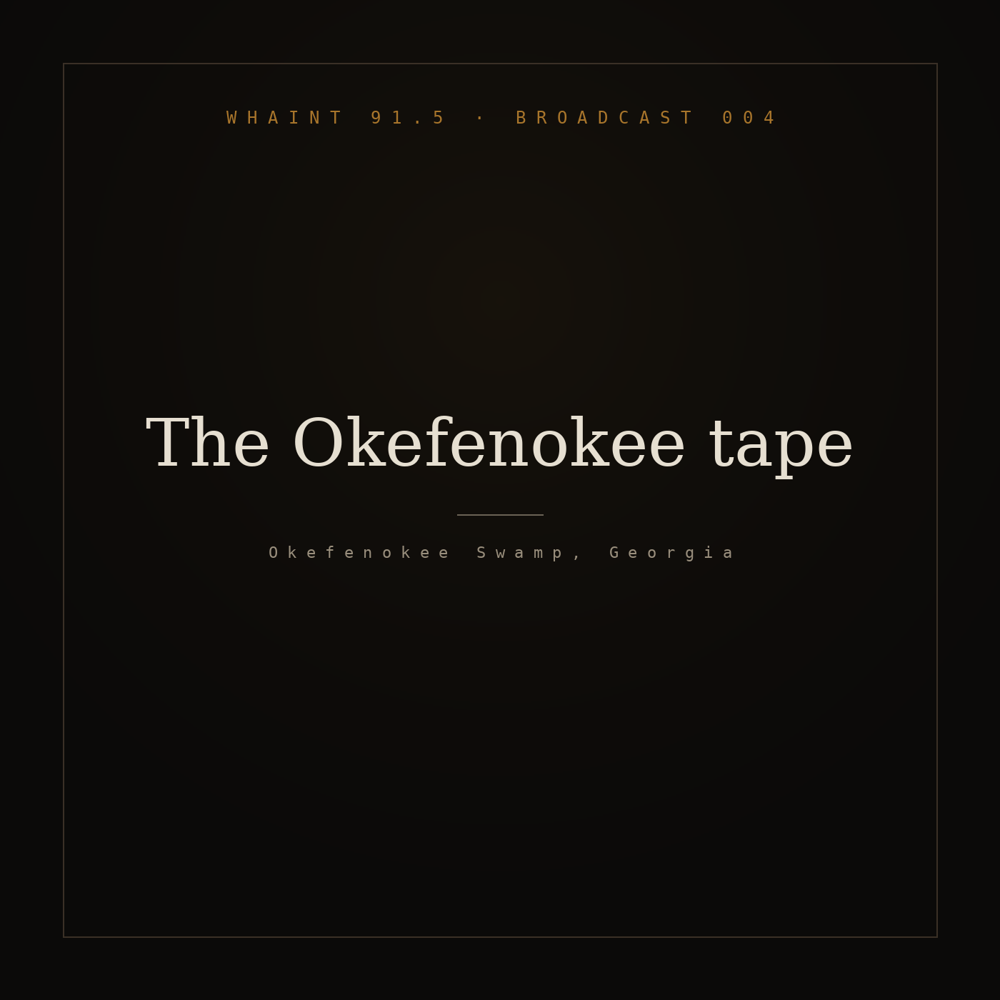 The Okefenokee tape episode artwork