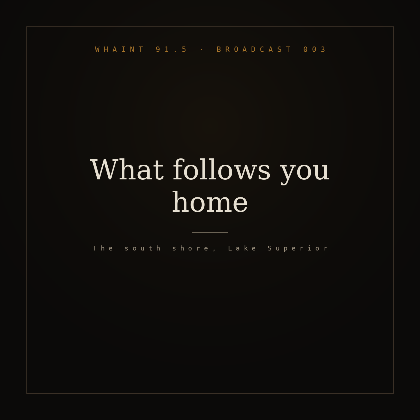 What follows you home episode artwork